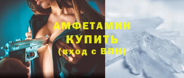индика Осташков