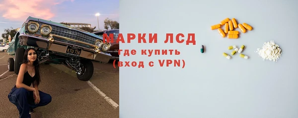 индика Осташков