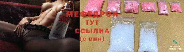 индика Осташков