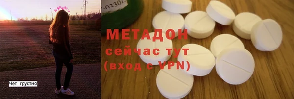 индика Осташков