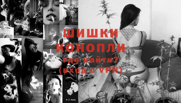 гашик Пестово