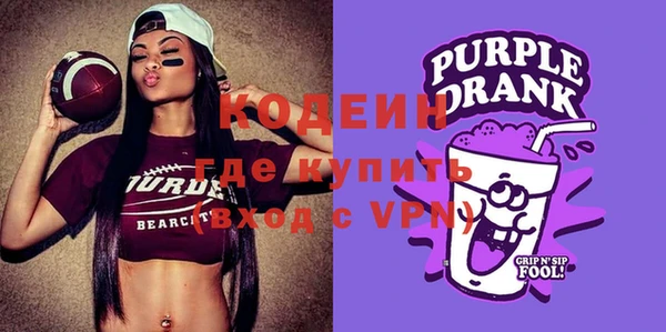 индика Осташков