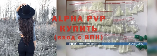 гашик Пестово