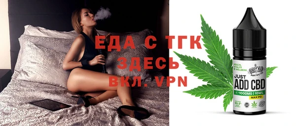 индика Осташков