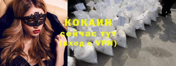 индика Осташков