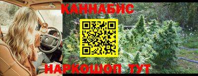 дживик Камышлов