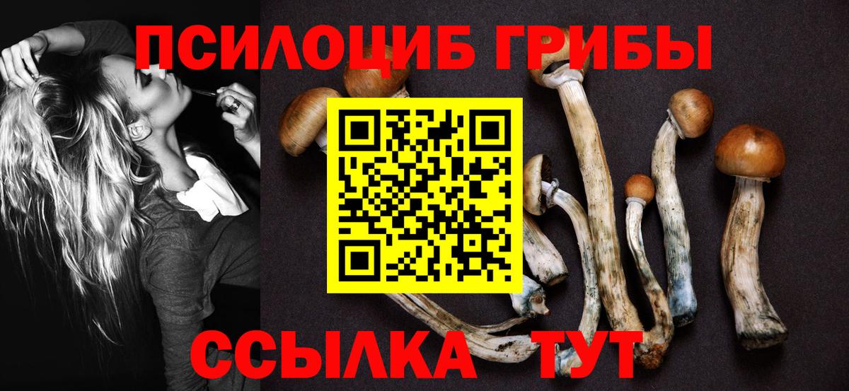Тосно  Псилоцибиновые грибы MAGIC MUSHROOMS  Вход с VPN  Псилоцибиновые грибы мухоморы 