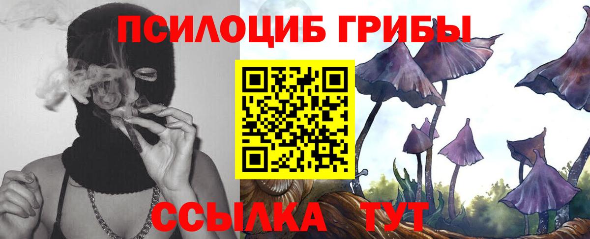 Галлюциногенные грибы GOLDEN TEACHER Тосно