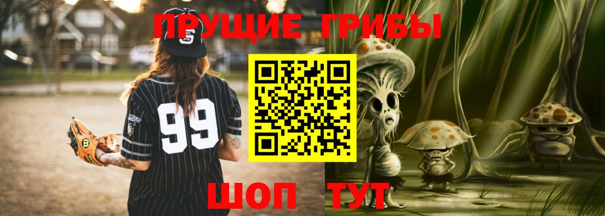 Псилоцибиновые грибы Cubensis  Тосно 