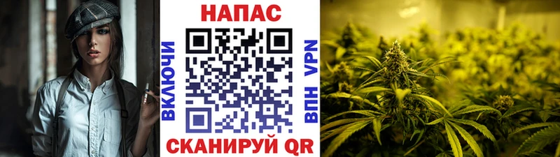 Бошки марихуана тримм  продажа наркотиков  Тосно 